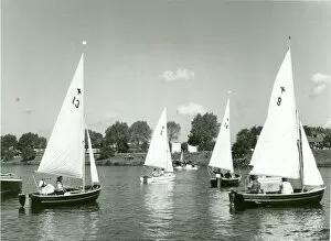 Images Dated 23rd January 2012: Sea Scouts at sailing regatta, Lower Thames