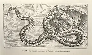 Ophidia Prints: Sea-serpent attacking a vessel