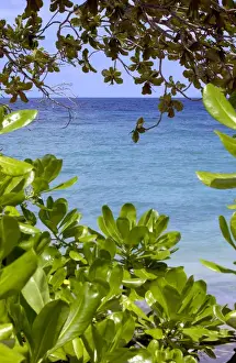 Tioman Prints: Sea at Tioman Island at high tide -seen through