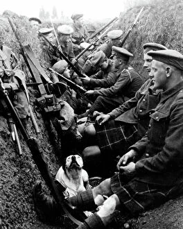 Seaforth Collection: Seaforth Highlanders and a dog in a trench in WW1