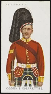 Seaforth Collection: Seaforth Sergeant