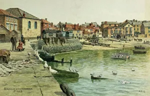 Seagulls in the Harbour, St Ives, Cornwall