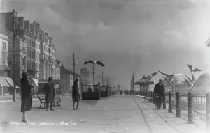 Seagulls Prints: Seagulls at Hastings Seafront