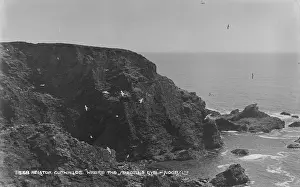 Seagulls Prints: Where the Seagulls Live