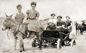 Sank Prints: Seaside donkey pulling a car across Block Island beach, USA