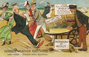 Images Dated 11th November 2011: Seaside Weather Forecasts - Strong smelling Fish