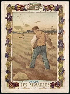 Seasons / March / Sowing