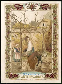 Planted Prints: Seasons / November / Trees