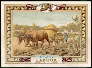 Seasons / October / Plough