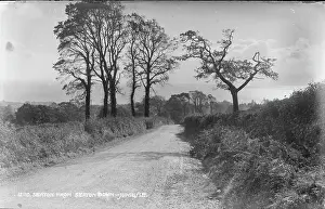 Gravel Prints: Seaton from Seaton Down