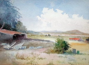 Images Dated 12th January 2007: Second Dressing Station, Gallipoli, August 1915