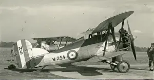 *New* Photographic Content Prints: The second Gloster Gnatsnapper I, N254