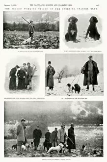 1899 Collection: The second working trials of the sporting spaniel club