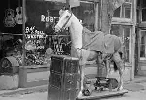 Secondhand store, Peoria, Illinois