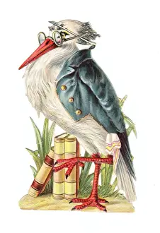 Secretary bird with books on a Victorian scrap