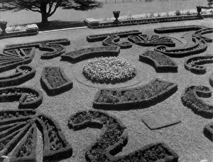Hedges Prints: A section of the fine Italian Garden at Oldway