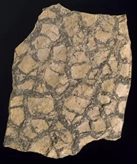 Deposit Prints: Sedimentary layer of rock