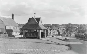 Sedlescombe Village Pump and Green