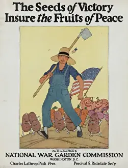 The seeds of victory insure the fruits of peace