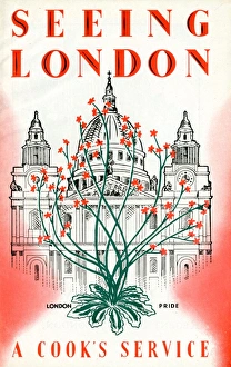 Images Dated 19th September 2012: Seeing London
