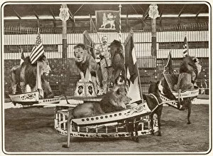 Images Dated 24th October 2019: Seeths lions in swing boats at the London Hippodrome