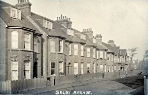 Albans Collection: Selby Avenue, St Albans, Hertfordshire