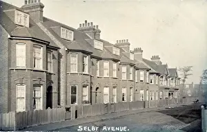 Albans Prints: Selby Avenue, St Albans, Hertfordshire