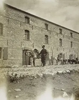 Selcuk Prints: Selcuk, Turkey