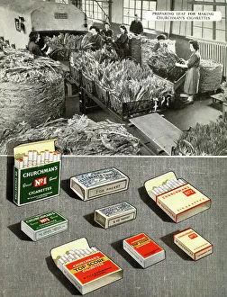 Churchman's Cigarette and Tobacco Packets Print. Art Prints, Posters &  Puzzles from Mary Evans