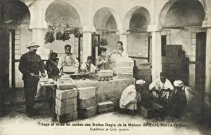 Crate Prints: Selection and packing of dates at Nefta, Tunisia