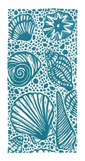 A selection of seashells