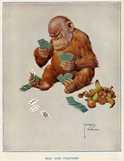 Images Dated 9th January 2012: Self and Partners!, by Lawson Wood