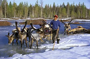 Selkup man with reindeer-sledge, Siberia