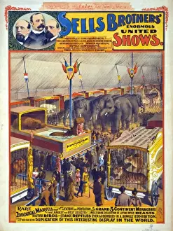 Marvels Prints: Sells Brothers enormous united shows - Rare zoological marv