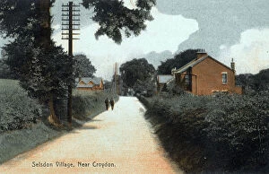 Hedge Collection: Selsdon Village, near Croydon, Surrey