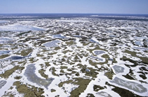 Aerials Gallery: Semi-tundra aerial, North Siberia