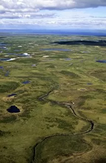 Aerials Gallery: Semi-tundra, aerial view from a helicopter