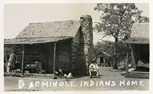 Chickens Prints: Seminole Indian home, Florida, USA