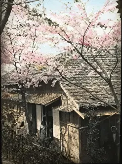 Sempill British Aviation Mission to Japan