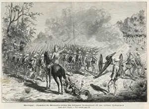 Senegal French Fight