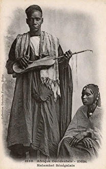 Senegalese Gallery: Senegal - Griot playing a Xalam