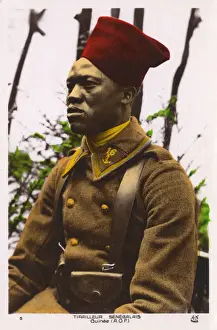 Guinea Prints: Senegalese Sharpshooter - WWI era