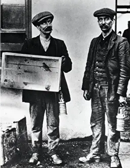 Caerphilly Prints: Senghenydd Colliery canary, Glamorgan, South Wales