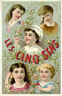 The Five Senses
