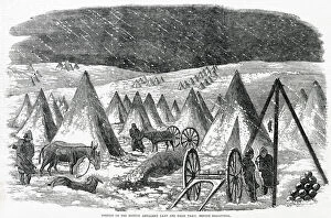 Images Dated 10th November 2020: Sentries and donkeys enjoy the bracing weather in the British Artillery Camp