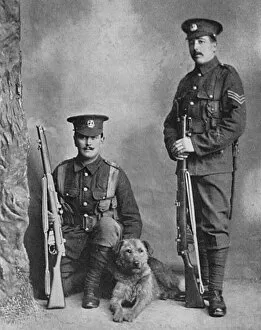 Airedale Gallery: A sentry dog with the Norfolk regiment
