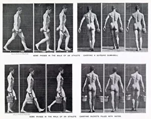 Motion Prints: Sequences of a man carrying - first a 20 kg dumb-bell, second a full bucket. Date: 1887