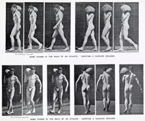 Motion Prints: Sequences of man walking carrying a 30 kg stone on his shoulder. Date: 1880s