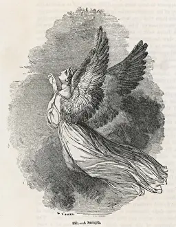A SERAPH