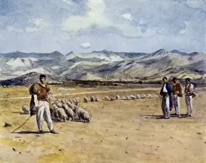 Serbia / Podgorica 1913
